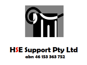 HSE WHS external audit